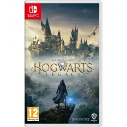 Hogwarts Legacy Switch Game