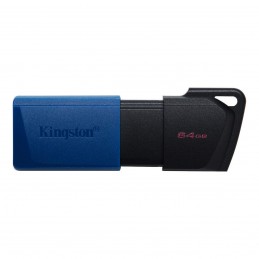 Kingston Datatraveler...